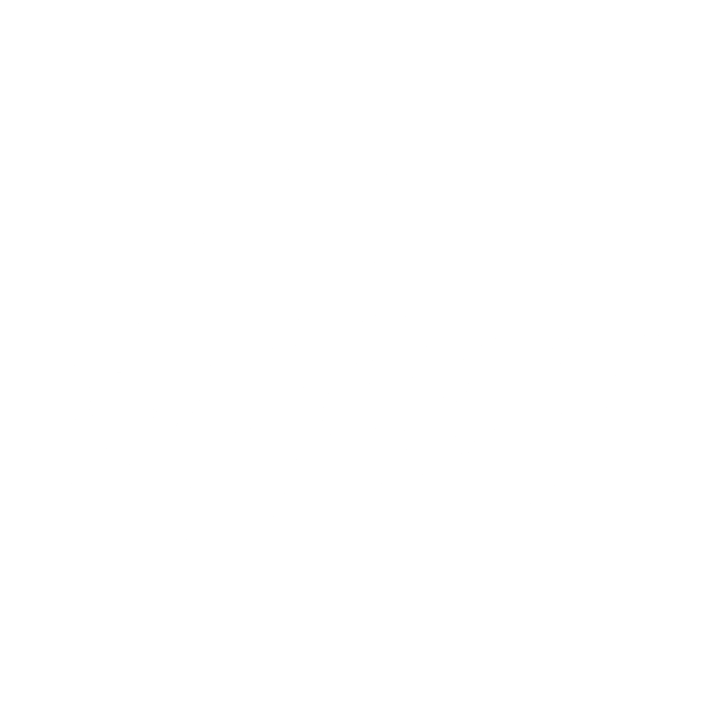 Nice Décor logo vectorisé blanc